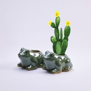 （分類：）位於 。 由 ymessence 提交（商品編號 1212495930，圖片 1）。簡介： 。