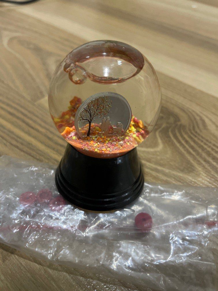 Collectible - Indian Summer Globe Silver Coin, Hobbies & Toys