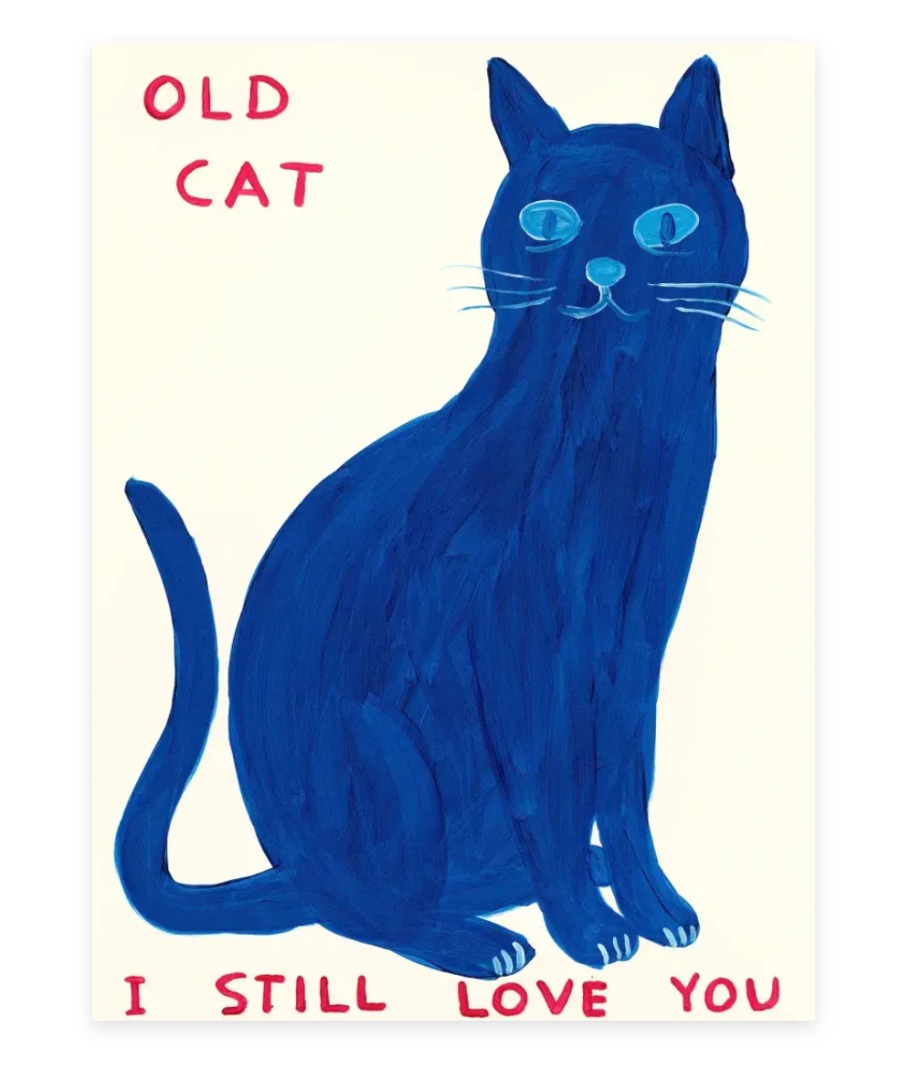 デヴィッド・シュリグリー Shrigley THIS HUGE CAT ポスター www