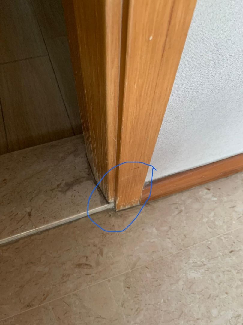 Door Frame repair services , sand and varnish to restore solid wood