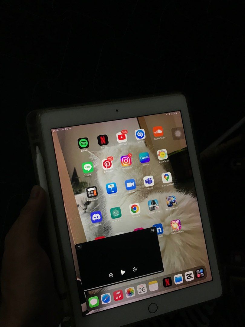 iPad Pro 9.7-inch 128gb Rose Gold (Wi-Fi + Cellular) + Apple ...