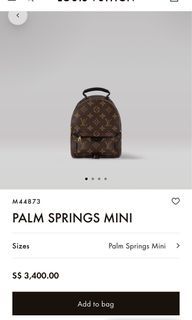 💕BNIB💕Louis Vuitton Palm Spring Mini Monogram Backpack, Luxury, Bags &  Wallets on Carousell