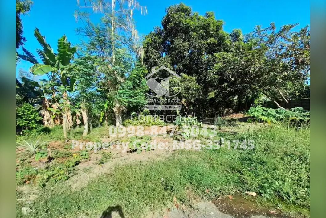 MSG331745 Foreclosed Residential Lot in La Marea Subdivision