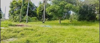Quezon Commercial lot for Sale Along National Highway