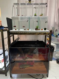 (Category: ) located in . Submitted by siinweii (Listing ID 1207523153, Image 1). Description: .