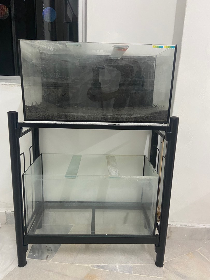 Aquarium and stand, Pet Supplies, Homes & Other Pet Accessories on
