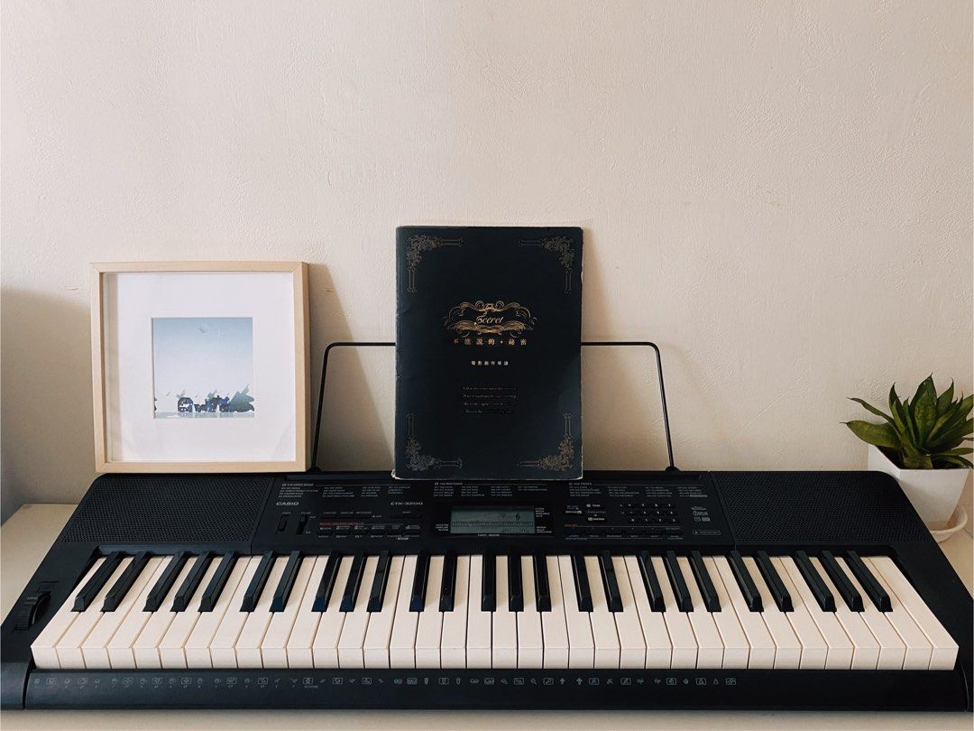 Casio Electronic Keyboard CTK3200, Hobbies & Toys, Music & Media