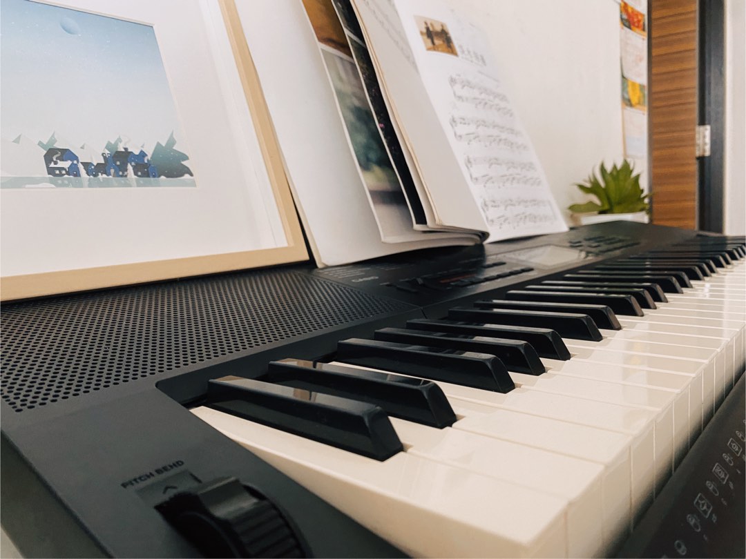 Casio Electronic Keyboard CTK3200, Hobbies & Toys, Music & Media