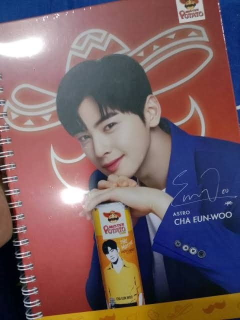 Win Metawin Merch CHA EUN WOO MERCH, Win Metawin Sticker + Bad Buddy picture with ...