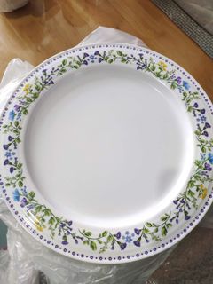 tupperware dinnerware plates 6pcs