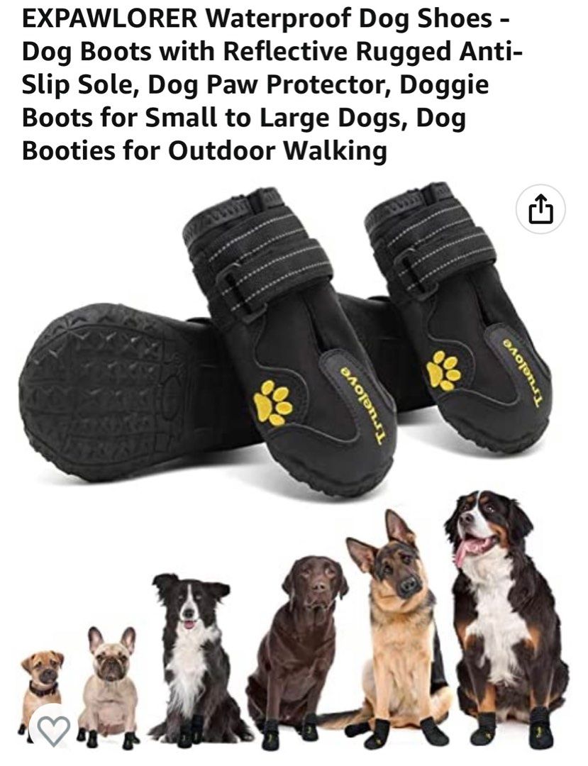 Truelove new arrivals dog shoes