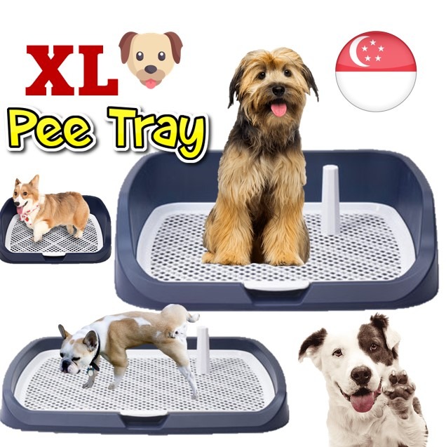 Dog Pee Tray with Pole Large Enclosed, Pet Supplies, Homes & Other Pet