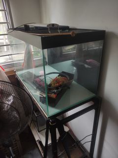 (Category: ) located in . Submitted by abon18 (Listing ID 1207574389, Image 1). Description: .