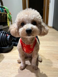 (Category: ) located in . Submitted by gyhui (Listing ID 1207592545, Image 1). Description: .