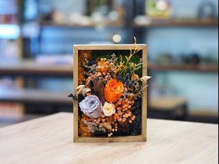 (Category: ) located in . Submitted by j2terrarium (Listing ID 1207462946, Image 1). Description: .