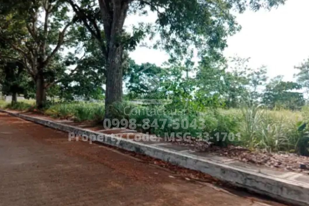 MSG331701 For Sale Residential Lot in LA HERENCIA NEGRENSE SUBD, BRGY