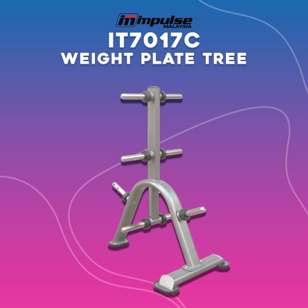Ready Stok Used Weight Plate Tree, Sports Equipment, Other Sports