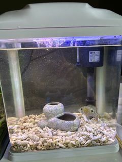 (Category: ) located in . Submitted by ewy96ewy (Listing ID 1207428016, Image 1). Description: .