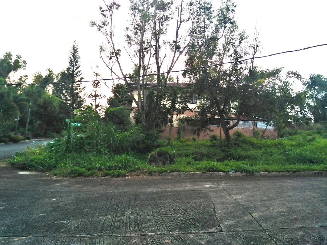 Sun Valley Residential State, Antipolo City, Property, For Sale, Lot on