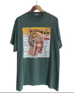 Vintage Flaming Lips