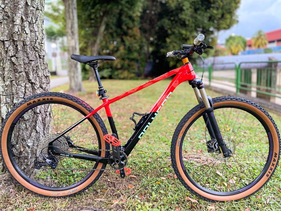 polygon syncline carbon