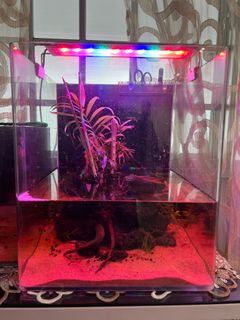 (Category: ) located in . Submitted by fuurrr (Listing ID 1207723160, Image 1). Description: .