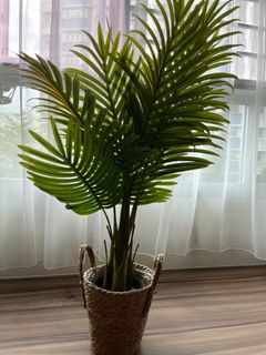 (Category: ) located in . Submitted by greenaura (Listing ID 1207716375, Image 1). Description: .