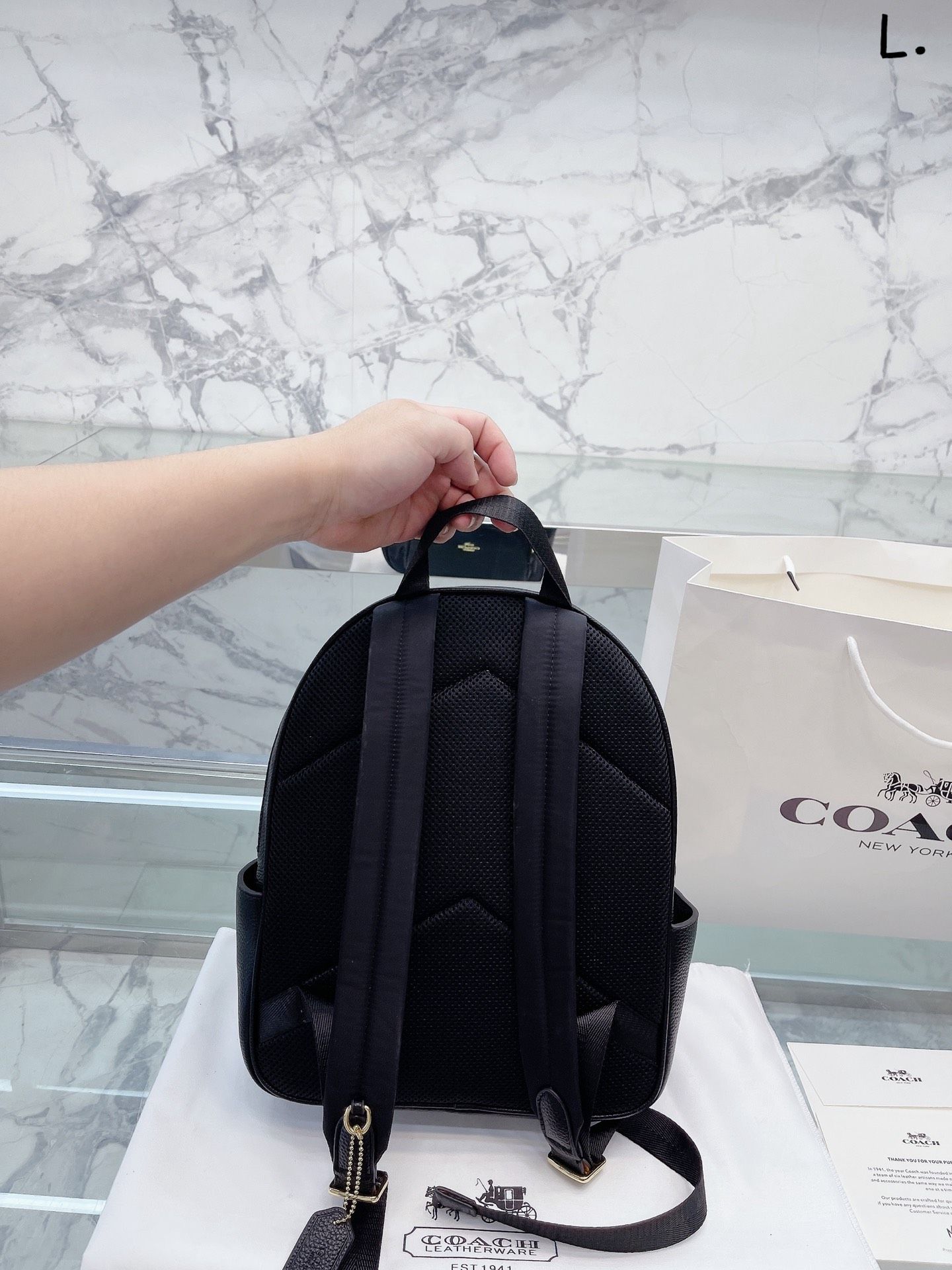 Coach 2025 backpack 2018