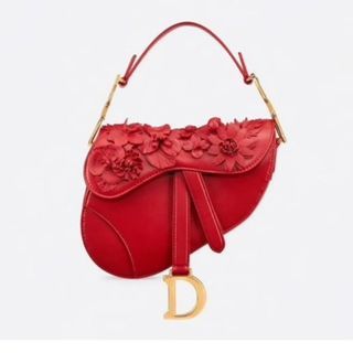 Dior Mini Saddle 💯, Luxury, Bags & Wallets on Carousell