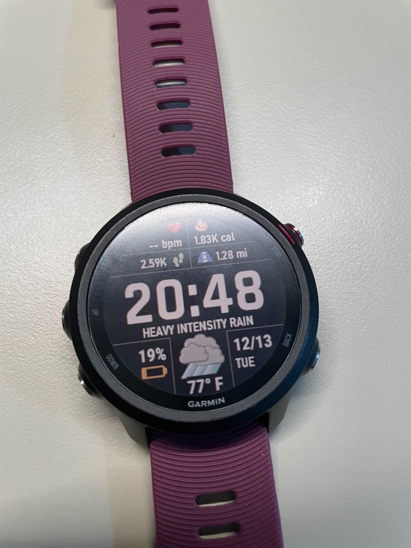 Garmin forerunner online 245 merlot