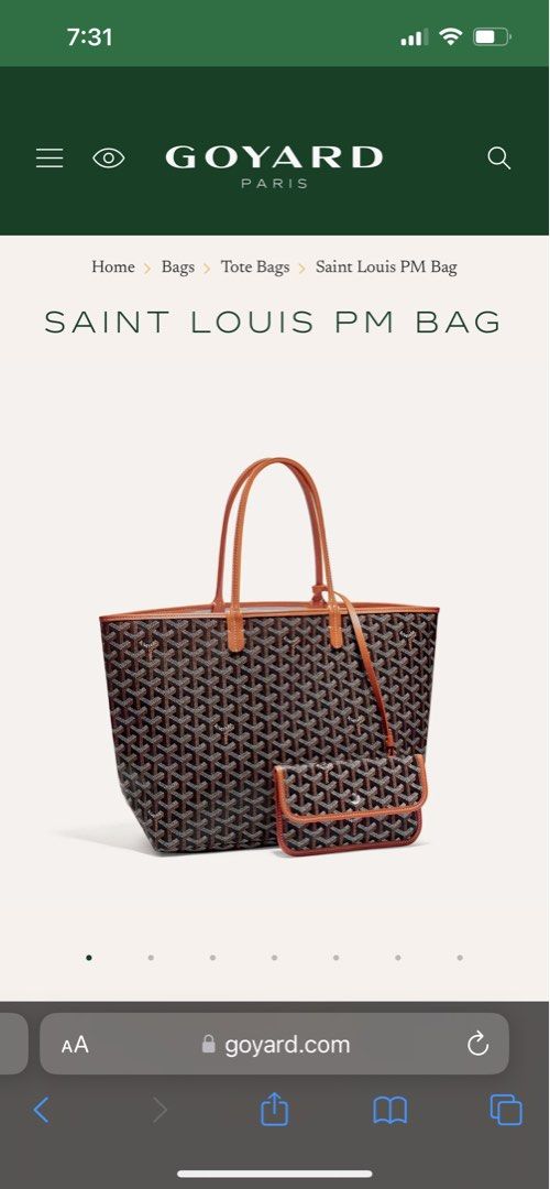 Saint Louis Claire-Voie GM Bag, Luxury, Bags & Wallets on Carousell