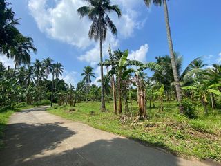 LOT FOR SALE!!! PACHECO MAGALLANES