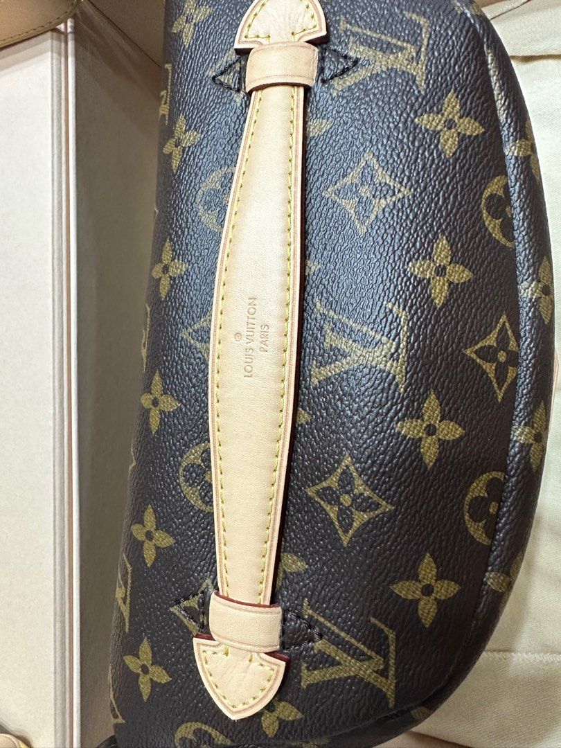 VUITTON LV CAMPUS BUMBAG N40298, Luxury, Bags & Wallets on Carousell