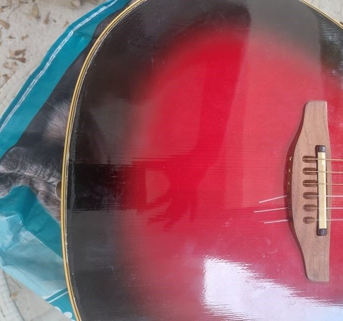 Ovation 6868 Elite Standard