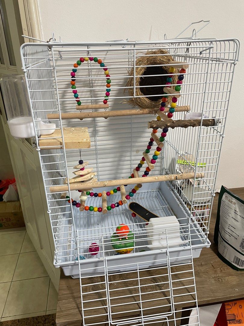 Bird cage accessories for sale clearance