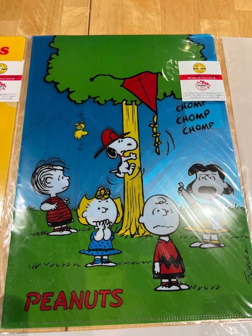 Snoopy Peanuts L-Shape Folder, Hobbies & Toys, Stationery & Craft, Stationery & School Supplies ...