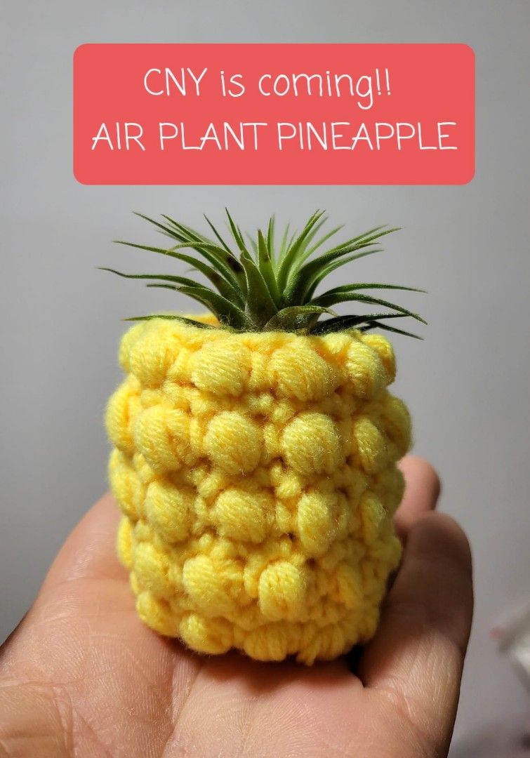 Air plant pineapple crochet handmade chinese new year decoration, Furniture  & Home Living, Gardening, Plants & Seeds on Carousell