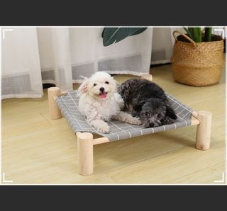 (Category: ) located in . Submitted by pet.express (Listing ID 1208012419, Image 1). Description: .