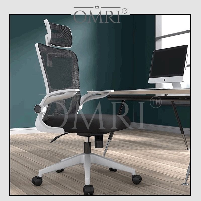 HINOMI Q1 Mesh Ergonomic Office Chair/Study/Gaming/Lumbar Support/Mesh  Chair with 3D Back Support for Home (Gray, Extra-High)