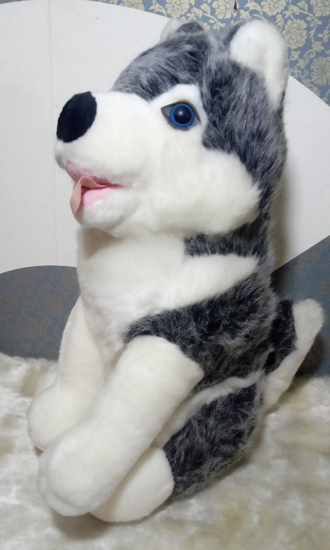 Preloved husky shop