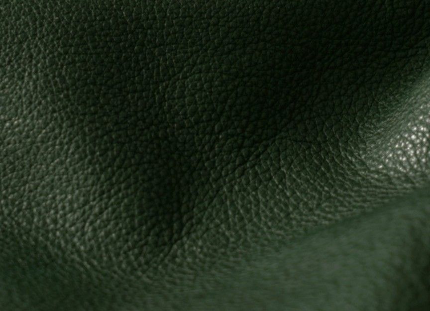 Luxury Genuine Horse Skin Leather Stylish Shoes for Men and Women, 男裝