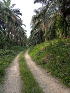 (Category: ) located in . Submitted by amir.zul (Listing ID 1207986745, Image 1). Description: .