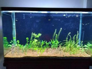 (Category: ) located in . Submitted by talentsource121 (Listing ID 1203807395, Image 1). Description: .