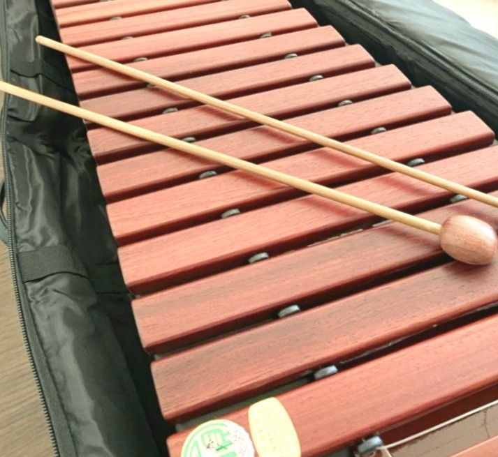 敦煌牌721木琴xylophone 可摺 連袋及琴棍 興趣及遊戲 音樂樂器 配件 樂器 Carousell