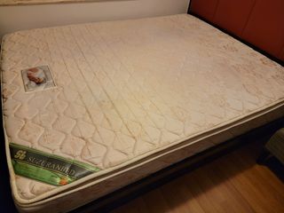 （分類：）位於 。 由 crispyx 提交（商品編號 1208227530，圖片 1）。簡介： 。