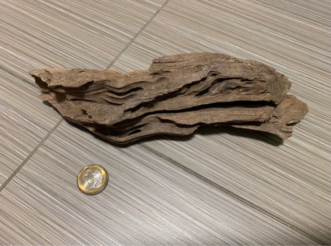 Pebbles filtration rocks driftwood charcoal filter wool filter, Pet