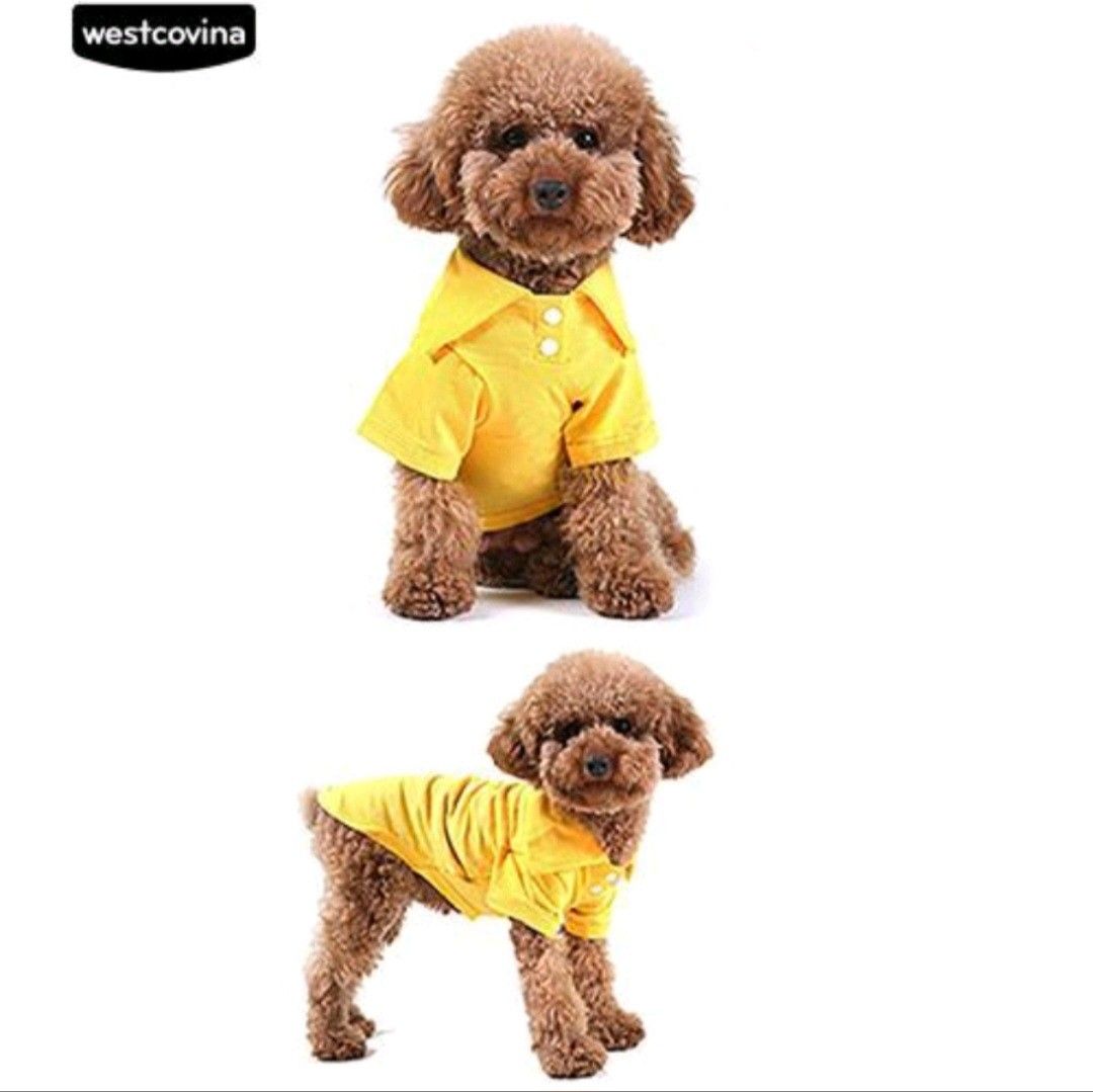 polo dog outfits