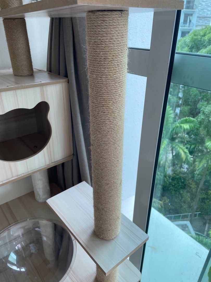 Cat tree, Pet Supplies, Homes & Other Pet Accessories on Carousell