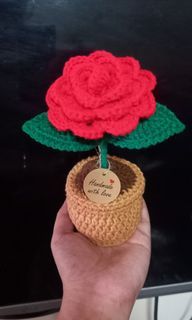 Crochet Flower in a Pot-6.5 inches tall-Made to order