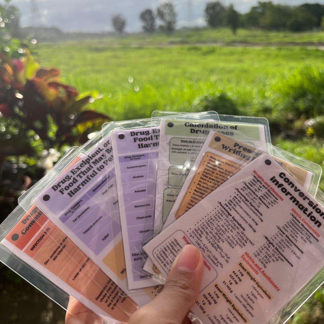 Customized Laminated Flashcards (ACTIVE RECALL), Hobbies & Toys, Books